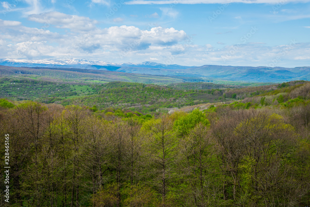 Spring landscape in Adygea