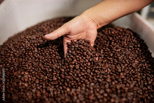 Hand of person mixing roasted coffee beans in plastic container