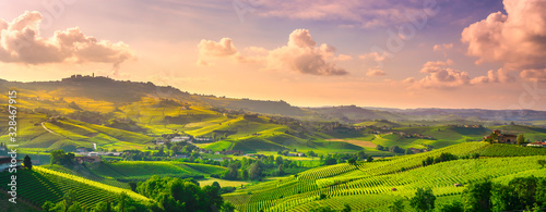 Langhe vineyards panoramic view, Barolo and La Morra, Piedmont, Italy Europe. photo