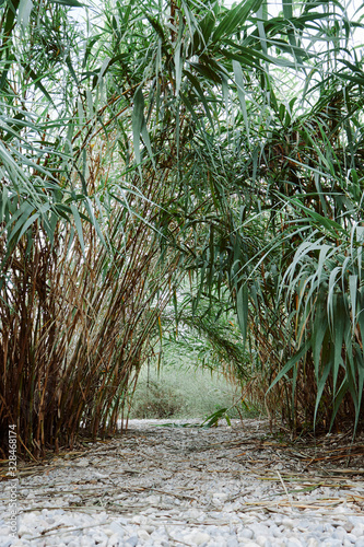 Rio mijares in its passage through Villarreal, Castellon, Spain photo