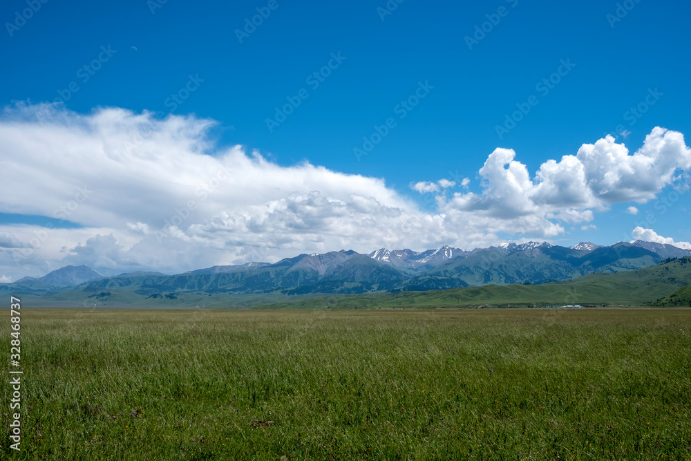 Fototapeta premium Green meadow with cloudy sky and mountains background. Beautiful meadow scenery. Adventure day. Mountain hiking. Mountain valley view. Spring season.