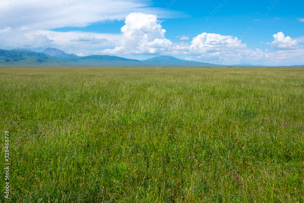Green meadow with cloudy sky and mountains background. Beautiful meadow scenery. Adventure day. Mountain hiking. Mountain valley view. Spring season.