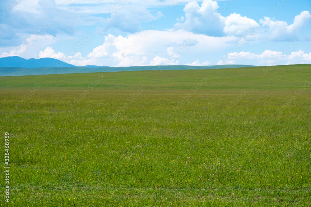 Green meadow with cloudy sky and mountains background. Beautiful meadow scenery. Adventure day. Mountain hiking. Mountain valley view. Spring season.