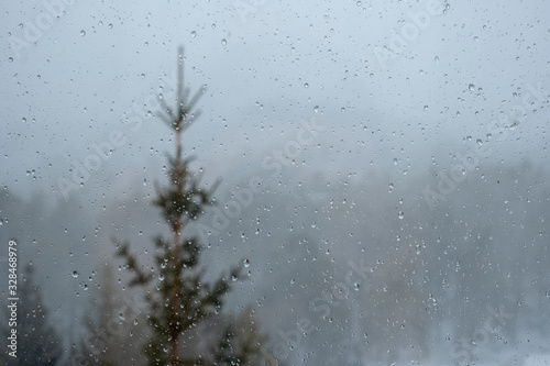Drops on the glass with spruce and forest on the background.