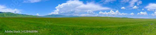 Panoramic landscape of green meadow with cloudy sky and mountains background. Beautiful meadow scenery. Adventure day. Mountain hiking. Mountain valley view. Spring season. © Adil