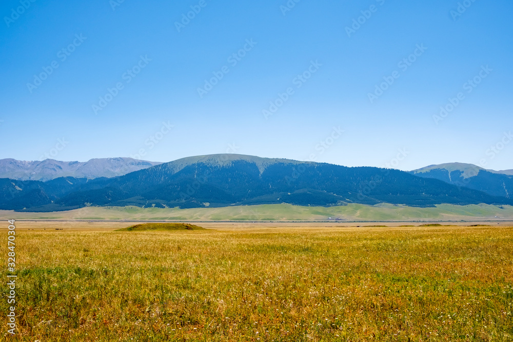 Ancient nomadic mound grave on green valley with mountains and blue sky background.