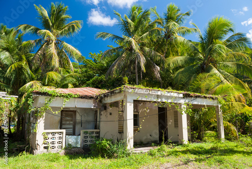 Φωτογραφία Bright sunny view of tropical beach shack overgrown with vines nestled into a pa
