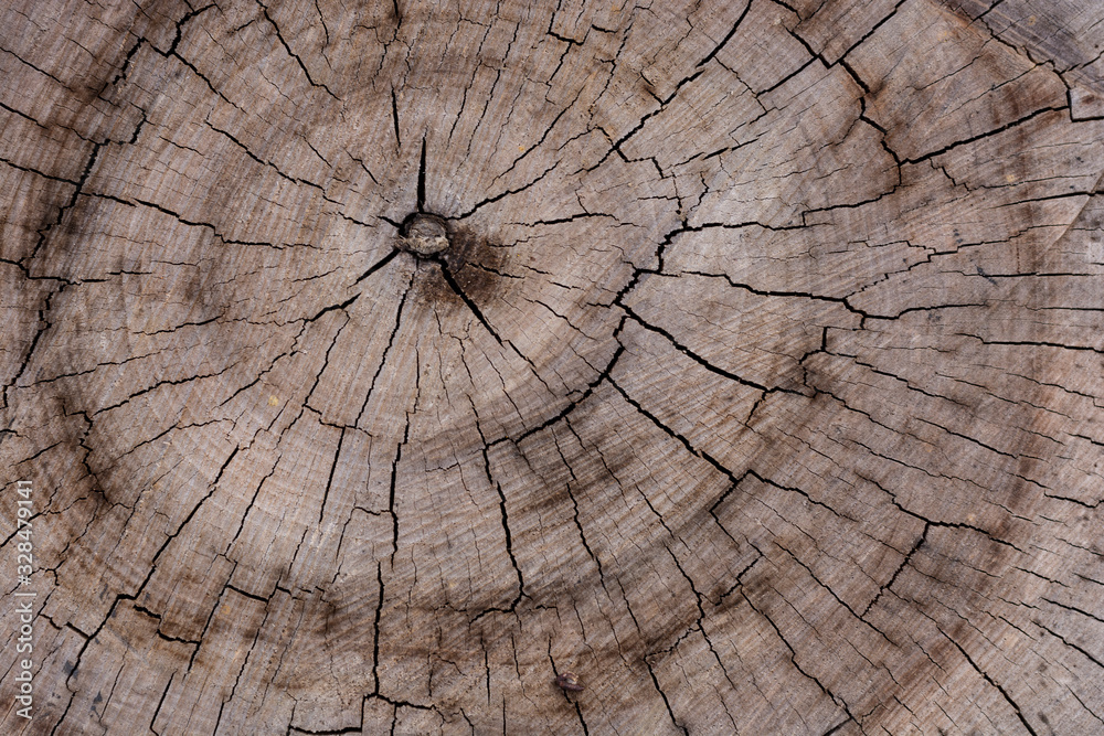 Wooden background. Cutted wood shows annual rings. Braun dry cracked wooden block.