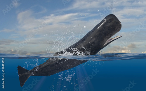Horizontal scene of cachalot sperm whale leaping and jumping while half is underwater deep ocean 3d rendering photo