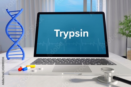 Trypsin – Medizin, Gesundheit. Computer im Büro mit Begriff auf dem Bildschirm. Arzt, Krankheit, Gesundheitswesen photo