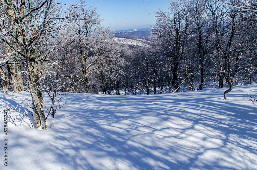 las zimą Bieszczady