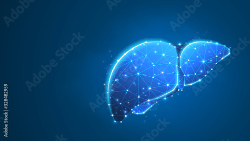 Liver, Human organ. Adult body anatomy, health biology, internal world of people. Low poly, wireframe 3d Raster illustration. Abstract polygonal image on blue neon background