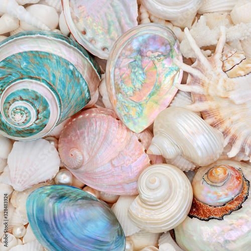 Canvastavla Seashell abstract background with mother of pearl seashells and a variety of shells