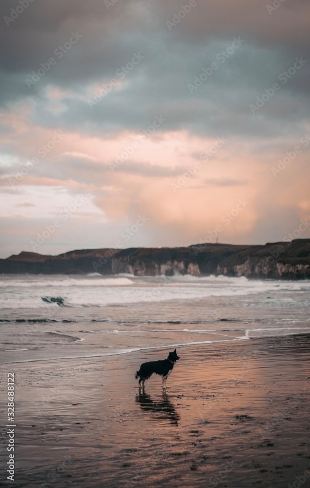 Fototapeta premium sunset on beach