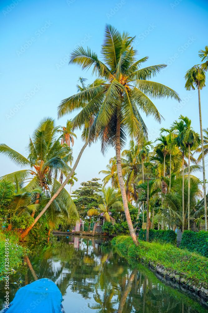 lake side coconut trees, an evening view in Kerala lake side coconut trees, an evening view in Kerala
