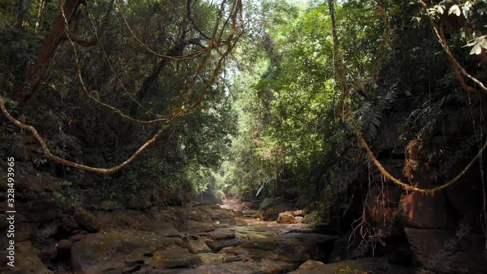 Jungle Forest Drone Flythrough on Dry Riverbed in Mawlynnong, India