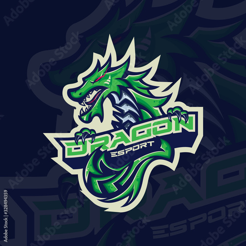 Mythological animals dragon sport esport gaming mascot logo template for streamer team