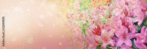 Spring abstract diffuse background with pink sky and branches of blooming flowers
