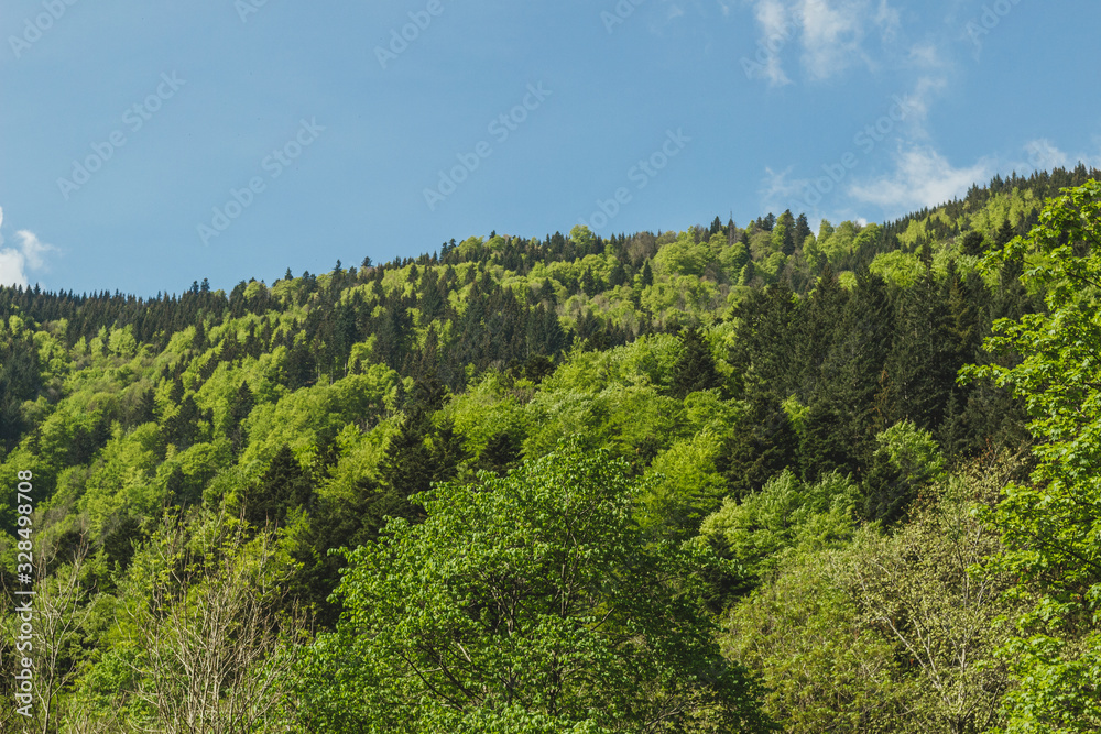 Nice panoramic landscape of the black forest region, Germany. Schwarzwald. Nice panoramic landscape of the black forest region, Germany. Schwarzwald.