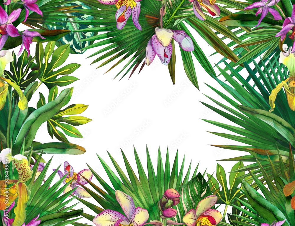 Naklejka orchid ,tropical flowers, banana leaves on a white background.