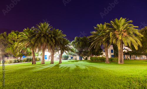 Fototapeta Naklejka Na Ścianę i Meble -  Evening view of the square with palm trees.