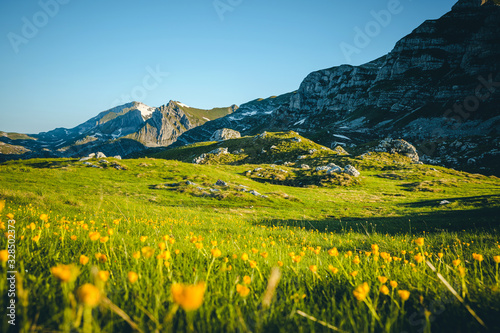 Magical summer day in the Durmitor National park. Location Montenegro.