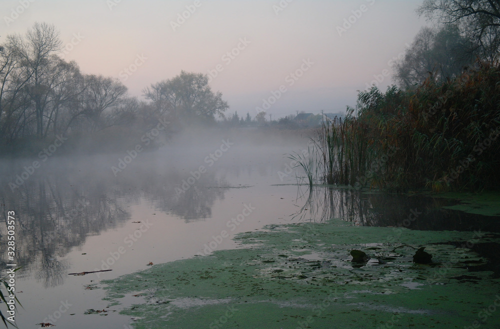 River landscape and autumn wood