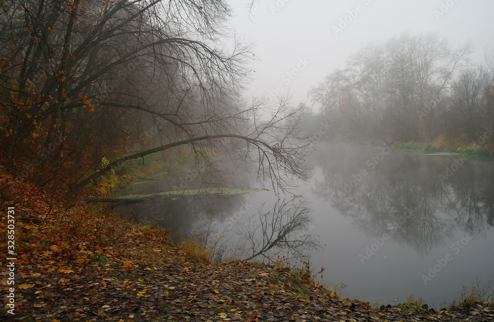River landscape and autumn wood