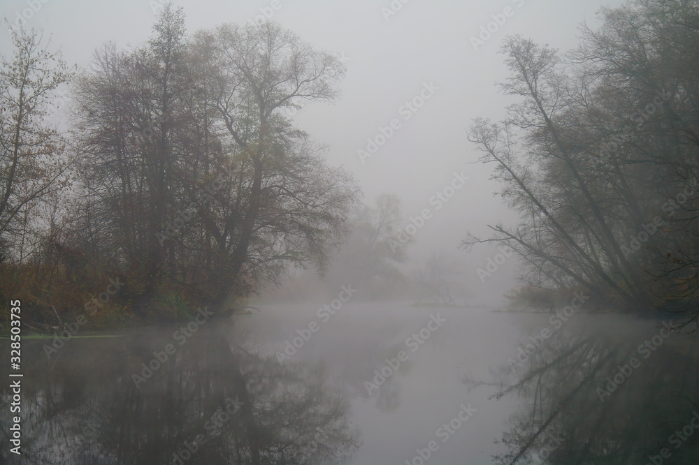 River landscape and autumn wood