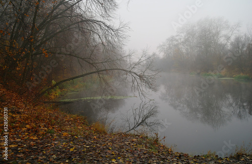 Obraz na płótnie River landscape and autumn wood w salonie