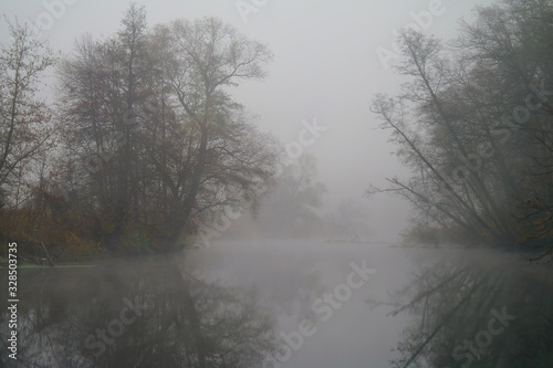 Obraz na płótnie River landscape and autumn wood w salonie