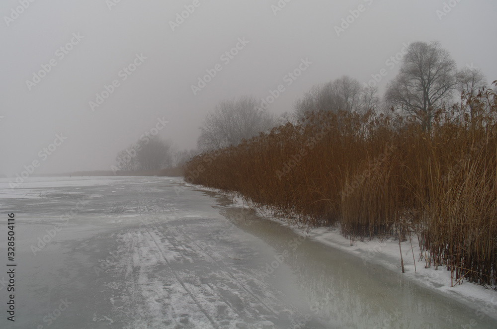 Spring landscape with a tree, with dry reeds, a river that gets rid of ice.