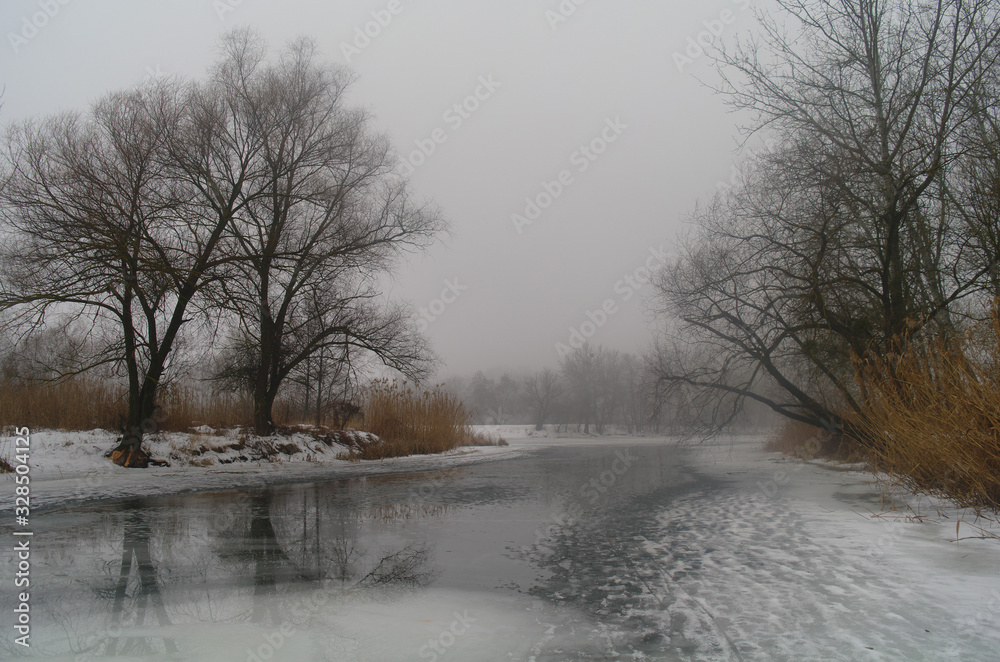 Spring landscape with a tree, with dry reeds, a river that gets rid of ice.