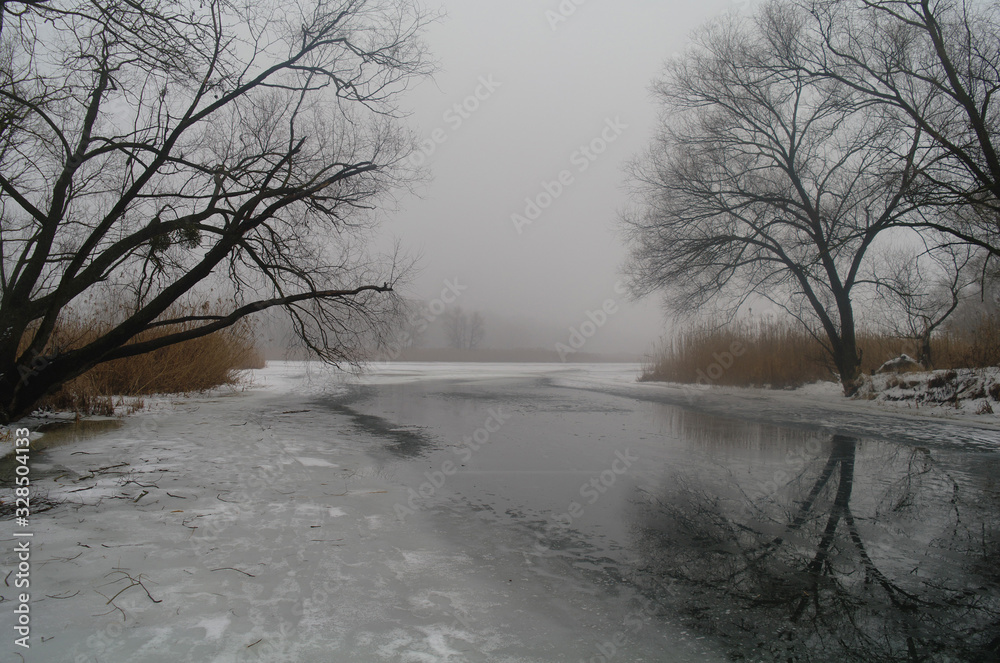 Spring landscape with a tree, with dry reeds, a river that gets rid of ice.