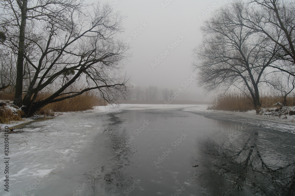 Spring landscape with a tree, with dry reeds, a river that gets rid of ice.