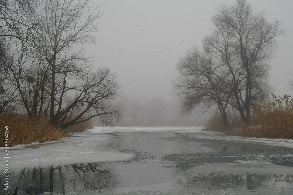 Spring landscape with a tree, with dry reeds, a river that gets rid of ice.