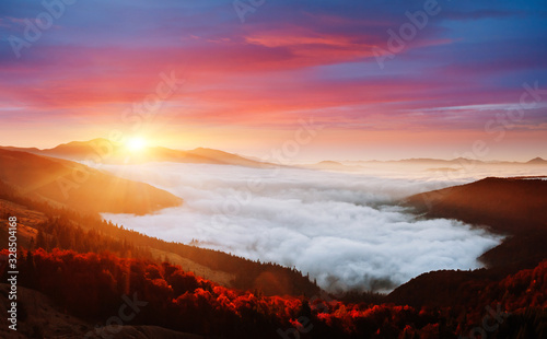 Incredible morning moment in alpine foggy valley. Location Carpathian mountain, Ukraine, Europe.