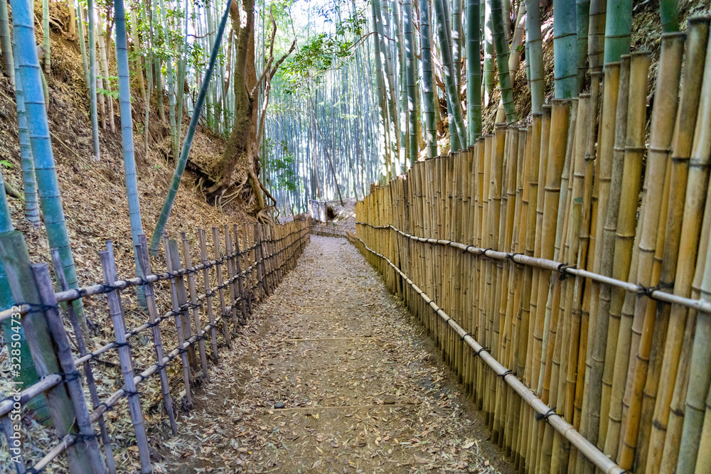 Footpath through into a bamboo forest in Chiba prefecture, JAPAN. Footpath through into a bamboo forest in Chiba prefecture, JAPAN.