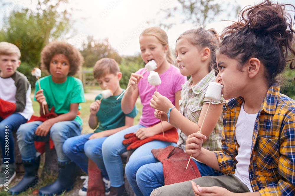 Children On Outdoor Activity Camping Trip Eating Marshmallows Around Camp Fire Together Children On Outdoor Activity Camping Trip Eating Marshmallows Around Camp Fire Together