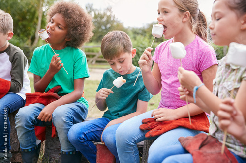 Children On Outdoor Activity Camping Trip Eating Marshmallows Around Camp Fire Together © Monkey Business