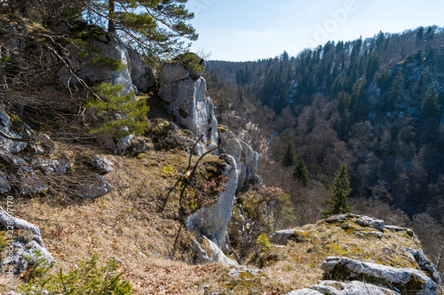 Hike in spring in the beautiful Danube valley photo