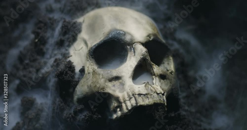 Human skull on the wet soild with smoke flowing
