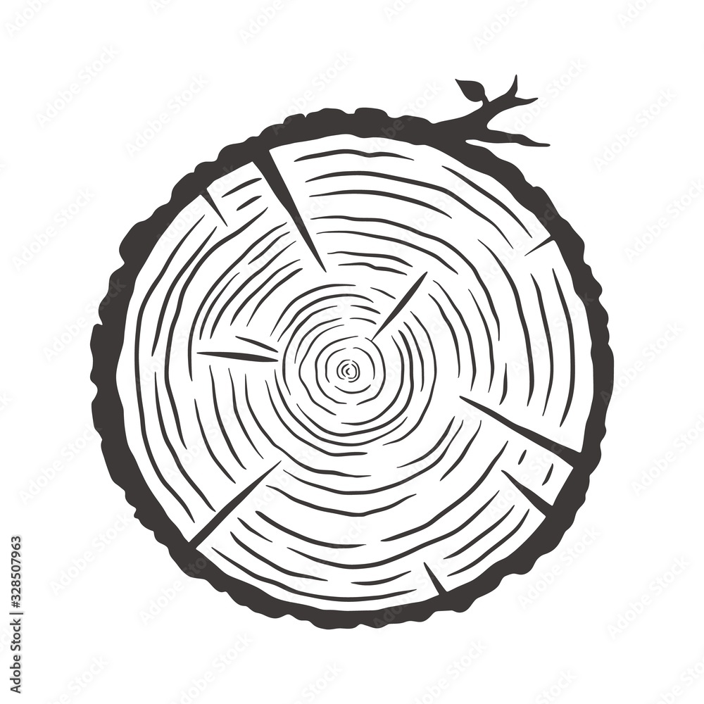 Wood texture rings slice of tree wooden stump