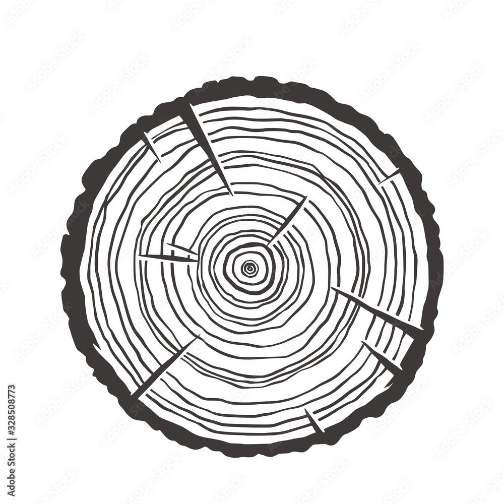 Wood texture rings slice of tree wooden stump