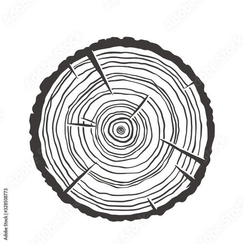 Wood texture rings slice of tree wooden stump