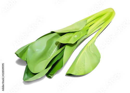 小松菜アイコン　リアルより美しくしたアイコン