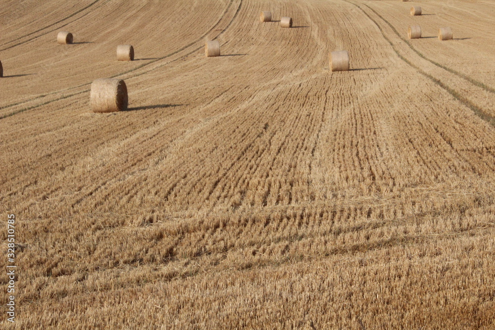 Round bales of hay in rural field in summer in England West Yorkshire, Britain UK