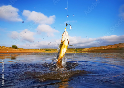 Big Bass Large mouth - Fishing