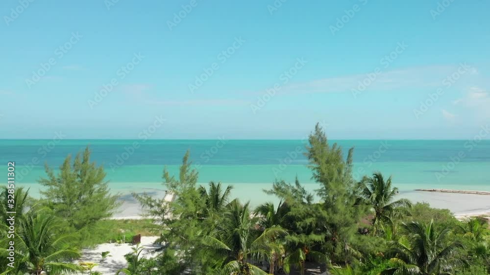 drone flight over trees and turquoise sea drone flight over trees and turquoise sea