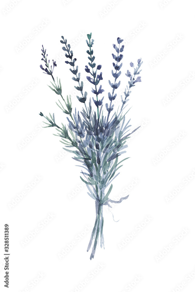 Fototapeta premium lavender flower twig plants flora spring watercolor purple lilac aromatherapy flowers
